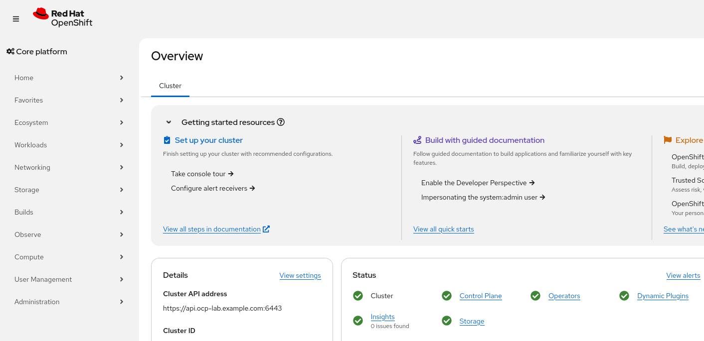 OpenShift console overview