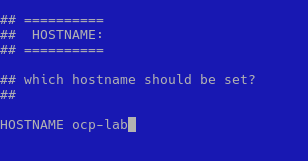 installimage - set the hostname
